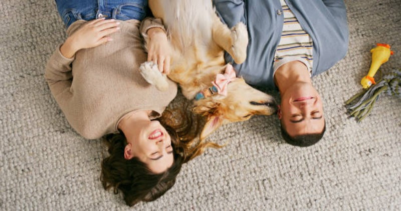 anal massager for men