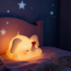 portable night light