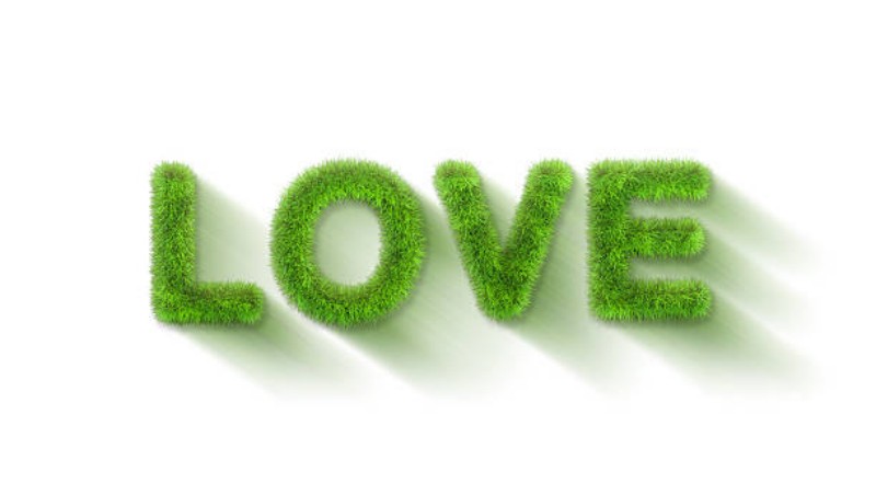 adult toys for women