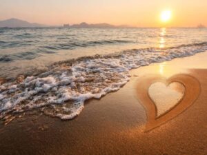 buy male masturbator