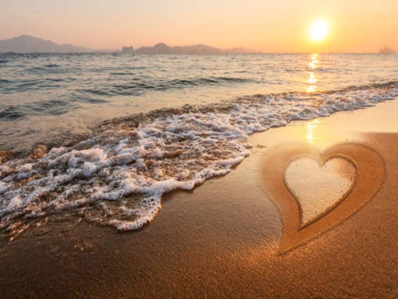 buy male masturbator